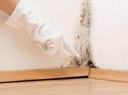 Best Residential Mold Inspection & Testing  in Fort Totten, ND